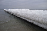 Ferienwohnung in Zingst - Ferienwohnung M&ouml;we - Bild 12