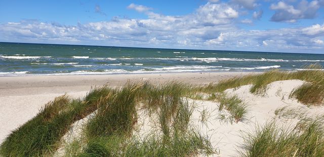 Ferienwohnung in Zingst - Strandmöwe 2 - Bild 12