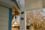 Ferienhaus in Zingst - Ferienhaus Ginster - Bild 4
