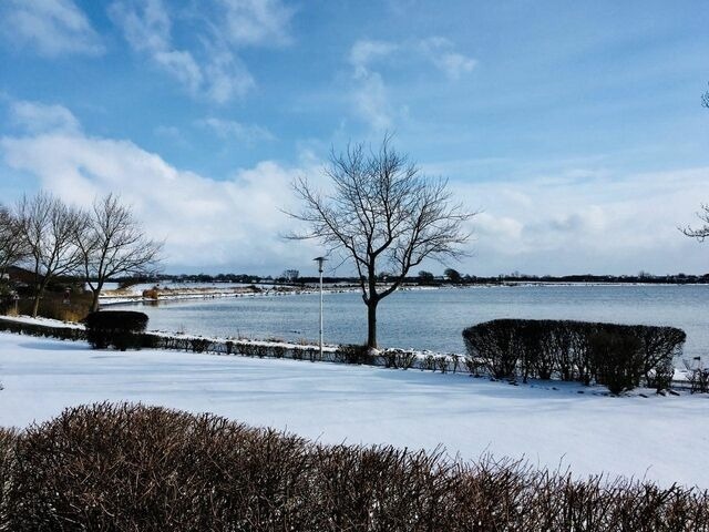 Ferienwohnung in Fehmarn OT Lemkenhafen - Meerblick Lemkenhafen - Bild 22