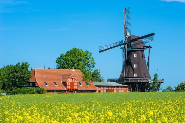 Ferienwohnung in Fehmarn OT Lemkenhafen - Ruhe-Insel - Bild 17