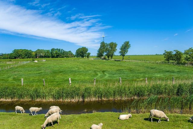 Ferienwohnung in Fehmarn OT Lemkenhafen - Ruhe-Insel - Bild 19