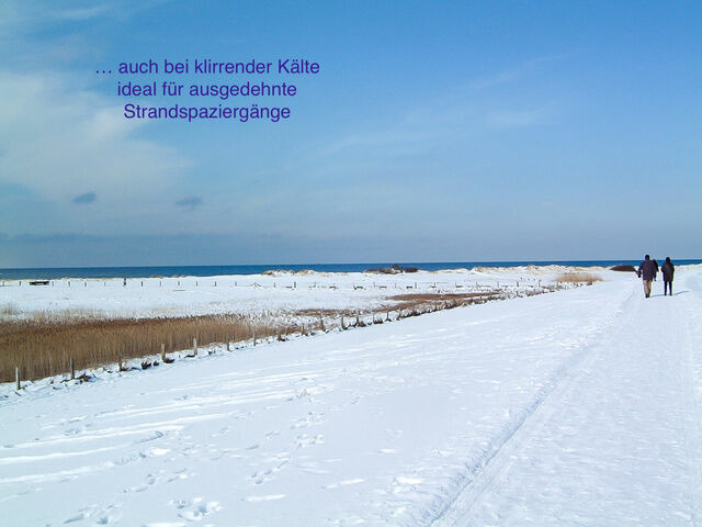 Ferienwohnung in Wendtorf - Whg. Silberm&ouml;we - Haus Nordlichter - Bild 24