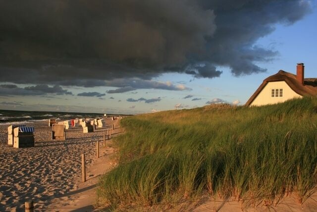 Ferienwohnung in Born a. Darß - Ferienwohnung Nr. 09 (EG) - Bild 22