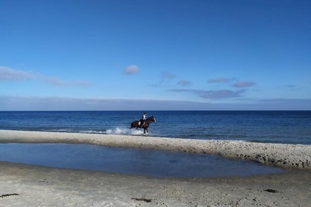 Ferienhaus in Gelting - Ferienhaus Wackerama in Gelting - Bild 24