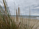 Ferienhaus in Lütow - Ostsee Ferienhaus Usedom (Hundefreundlich) Familie Stopp - Bild 16