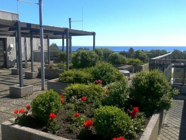 Ferienwohnung in Dahme - FeWo Feriengl&uuml;ck Berolina 131 - Bild 18