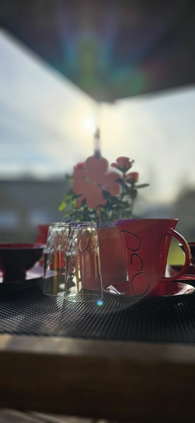 Bungalow in Zinnowitz - Ferienhaus Wiese und Meer - Bild 3