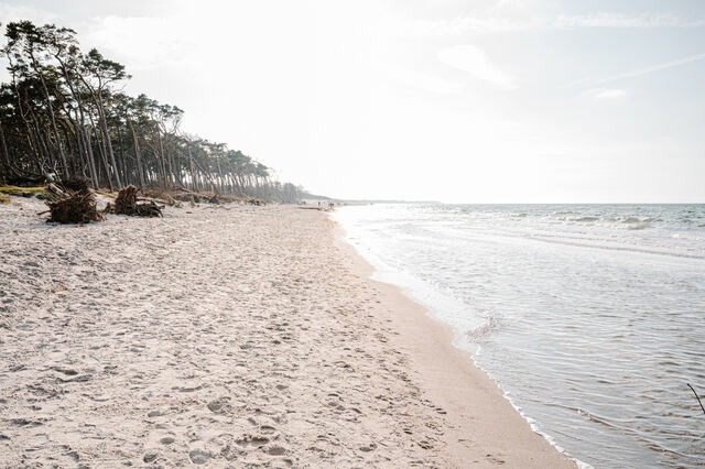 Ferienwohnung in Ahrenshoop - Strandblick 4 - Bild 9