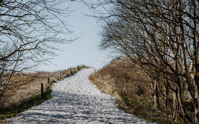 Ferienwohnung in Ahrenshoop - Strandblick 3 - Bild 8
