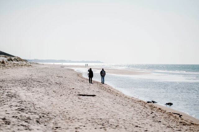 Ferienwohnung in Ahrenshoop - Strandmuschel 2 - Bild 10