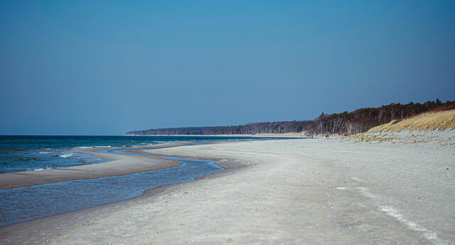 Ferienwohnung in Ahrenshoop - Seeschwalbe - Bild 10