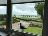 Ferienwohnung in Fehmarn OT Burgstaaken - Wohnung am Binnensee - Bild 11