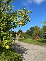 Ferienwohnung in Fehmarn OT Wulfen - Anneliese Blumenwiese - Bild 19