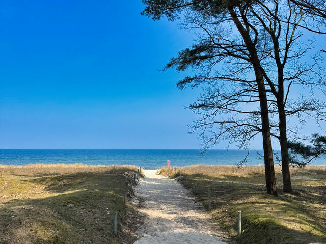 Ferienhaus in Baabe - Villa H&uuml;gel - Baabe - Bild 18