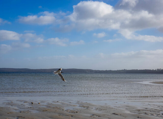 Ferienwohnung in Gl&uuml;cksburg - Ferienwohnung Noorblick - Bild 18