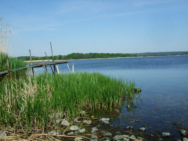 Ferienhaus in Baabe - Achtern Dieck - Baabe - Bild 19