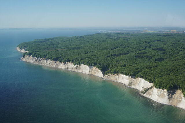 Ferienwohnung in Sellin - Fische - Sellin - Bild 16