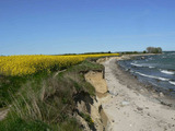 Ferienwohnung in Großenbrode - Strandperle 2 - Großenbrode - Bild 20