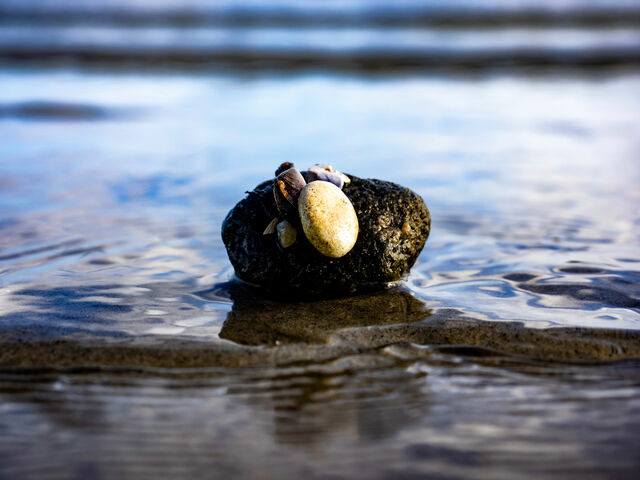 Ferienhaus in Glücksburg - Ferienhaus "Sören" - Bild 16