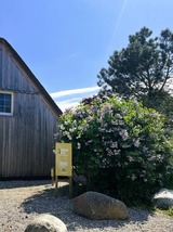 Ferienwohnung in Grödersby - Sommerhaus 54, Gartenhaus "L" - Bild 24