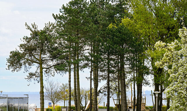 Ferienwohnung in Grömitz - Haus Meeresbrise - Whg. 6 - Bild 3