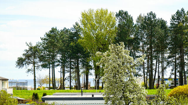 Ferienwohnung in Grömitz - Haus Meeresbrise - Whg. 6 - Bild 18