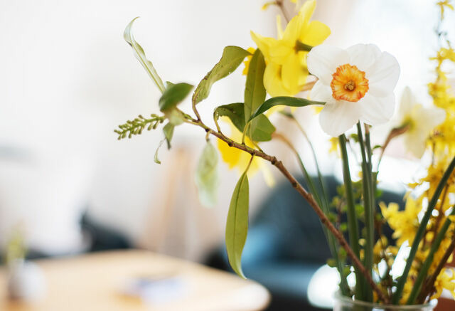 Ferienwohnung in Fehmarn OT Neujellingsdorf - Bauernhof H&ouml;per-Rauert - Reihenhaus 6 - Bild 6