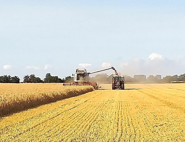 Ferienwohnung in Fehmarn OT Neujellingsdorf - Bauernhof H&ouml;per-Rauert - Reihenhaus 6 - Bild 23