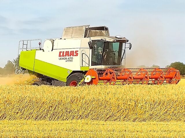 Ferienwohnung in Fehmarn OT Neujellingsdorf - Bauernhof H&ouml;per-Rauert - Reihenhaus 8 - Bild 22