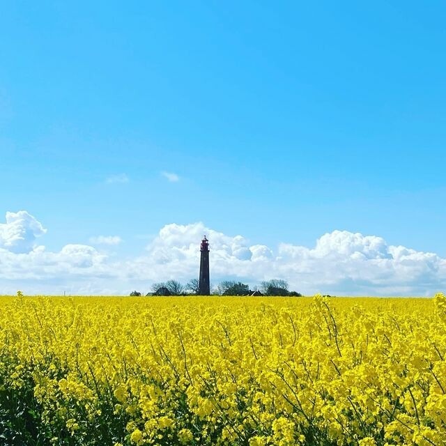 Ferienwohnung in Fehmarn - Hausboot Fehmarn - Bild 25