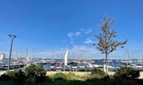 Ferienwohnung in Fehmarn - Hausboot Fehmarn - Bild 24