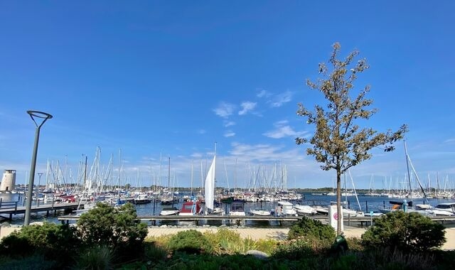 Ferienwohnung in Fehmarn - Hausboot Fehmarn - Bild 24