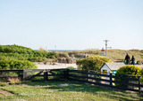 Bungalow in Fehmarn OT Burgtiefe - Strandhaus "D&uuml;ne 55" - Bild 18