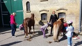 Ferienwohnung in Fehmarn OT Staberdorf - Tenne 4, inkl. 1 Parkplatz - Bild 12