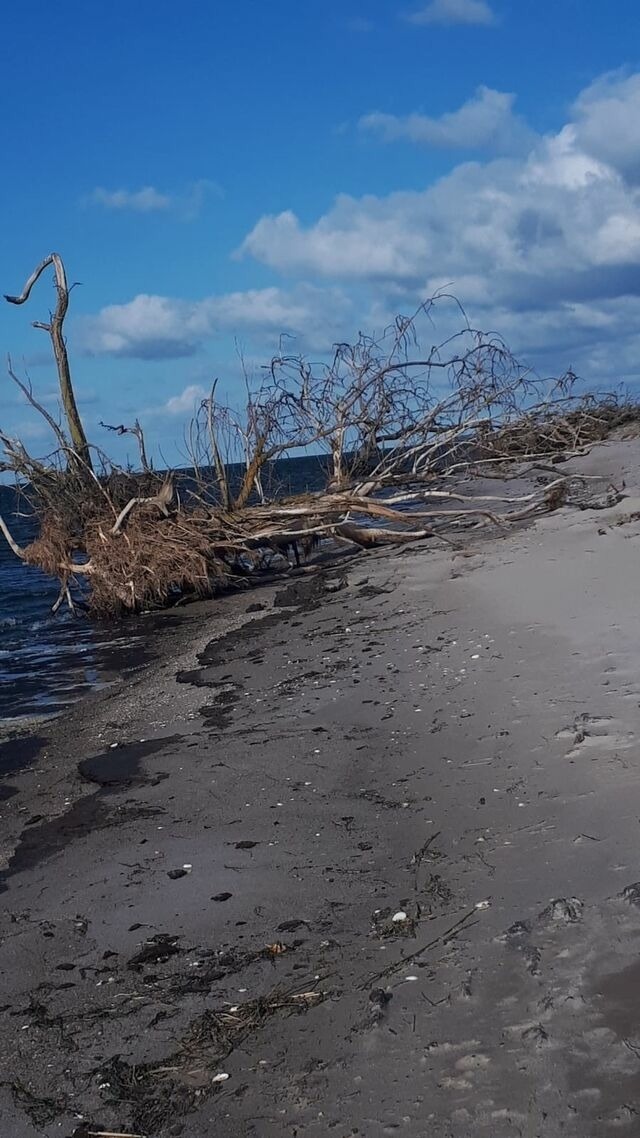 Ferienhaus in L&uuml;tow - Ferienhaus K&ouml;hler Am Achterwasser , Urlaub mit Hund - Bild 4