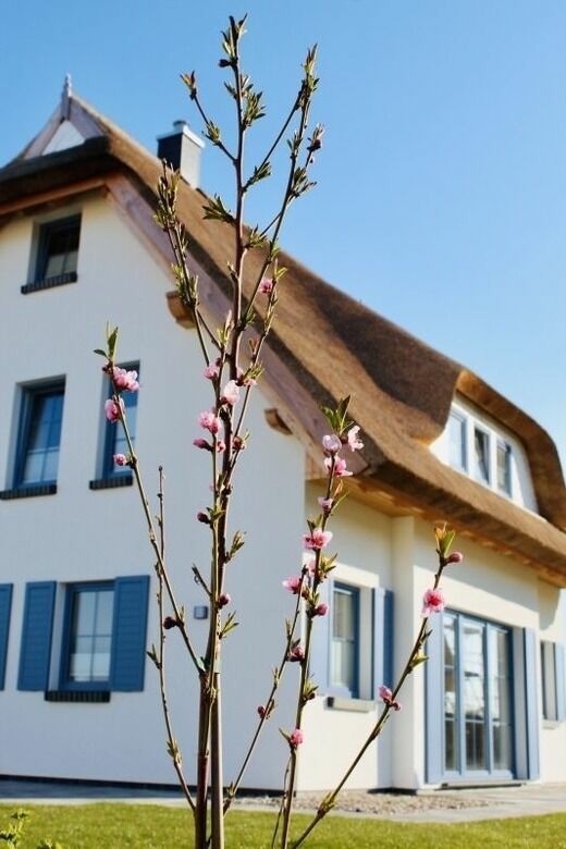 Ferienhaus in Dranske - Ferienhaus Rügenzauber mit Sauna, Kamin & Badewanne - Bild 17