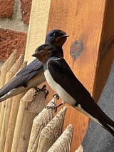 Ferienwohnung in Gahlkow - Strandperle 2 - Bild 16