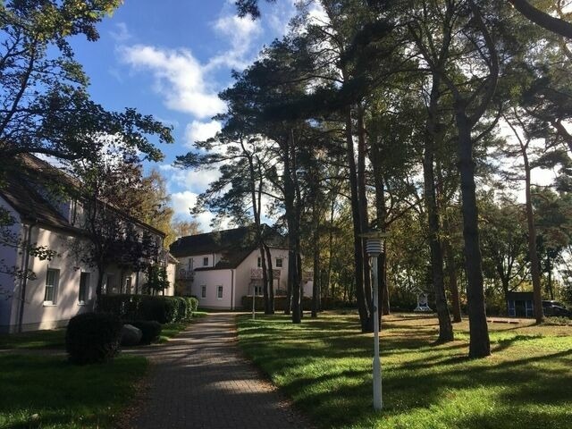 Ferienwohnung in Dierhagen - Ferienwohnung Ostseereif 211 - Bild 16