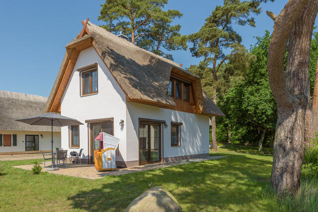 Ferienhaus in Zirchow - Bellis Perennis - Bild 2