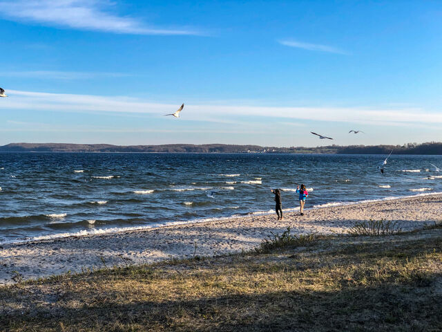 Ferienhaus in Glücksburg - Ferienhaus Seeadler 32 - Bild 25