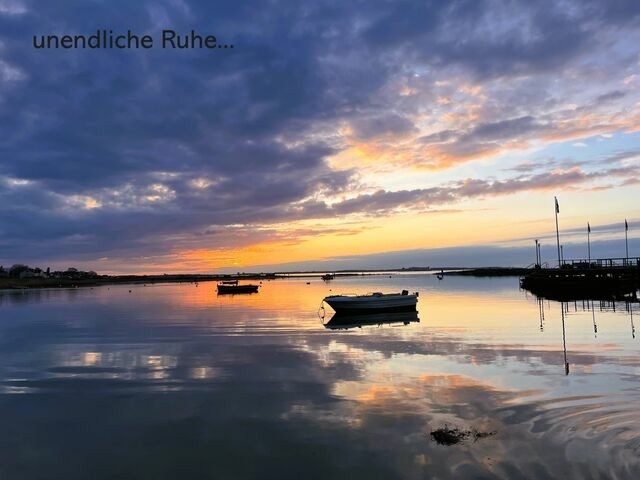 Ferienwohnung in Wendtorf - Strandl&auml;ufer - Bild 13