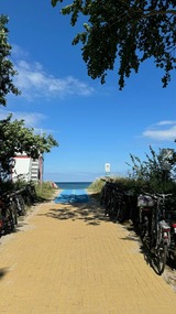 Ferienwohnung in Zingst - Villa Blau Wohnung 03/Studio - Bild 22