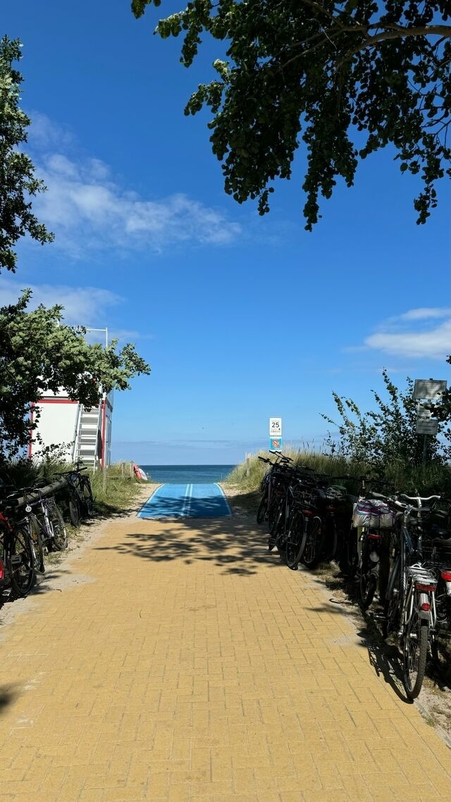 Ferienwohnung in Ostseeheilbad Zingst - Villa Blau Wohnung 02/Appartment - Bild 25