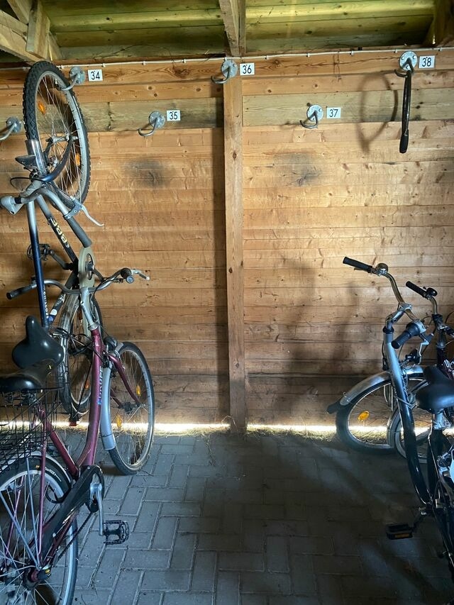 Ferienwohnung in Zingst - Fewo Kranich 36 - Bild 21