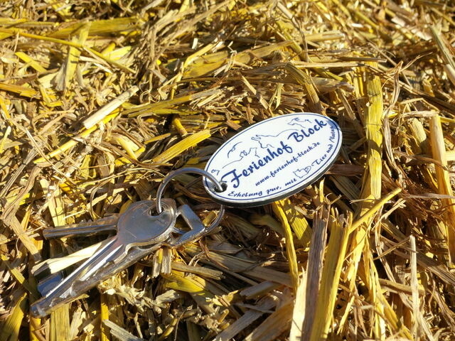 Ferienwohnung in Brodersby - Ferienhof Block - Ferienwohnung 4 - Bild 12