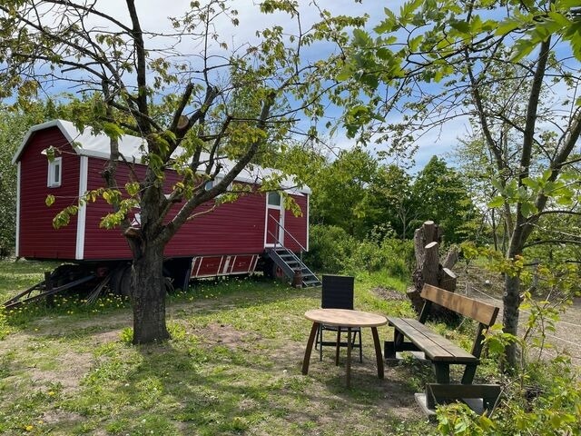 Ferienwohnung in Wagersrott - Zirkuswagen auf dem Lämmerhof - Bild 14