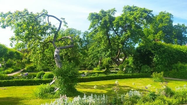 Ferienwohnung in Starkow - Ferienwohnung Rosengarten am Pfarrgarten Starkow - Bild 15