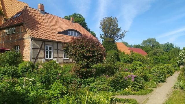 Ferienwohnung in Starkow - Ferienwohnung Rosengarten am Pfarrgarten Starkow - Bild 16