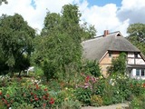 Ferienwohnung in Starkow - Ferienwohnung Birnengarten am Pfarrgarten Starkow - Bild 8